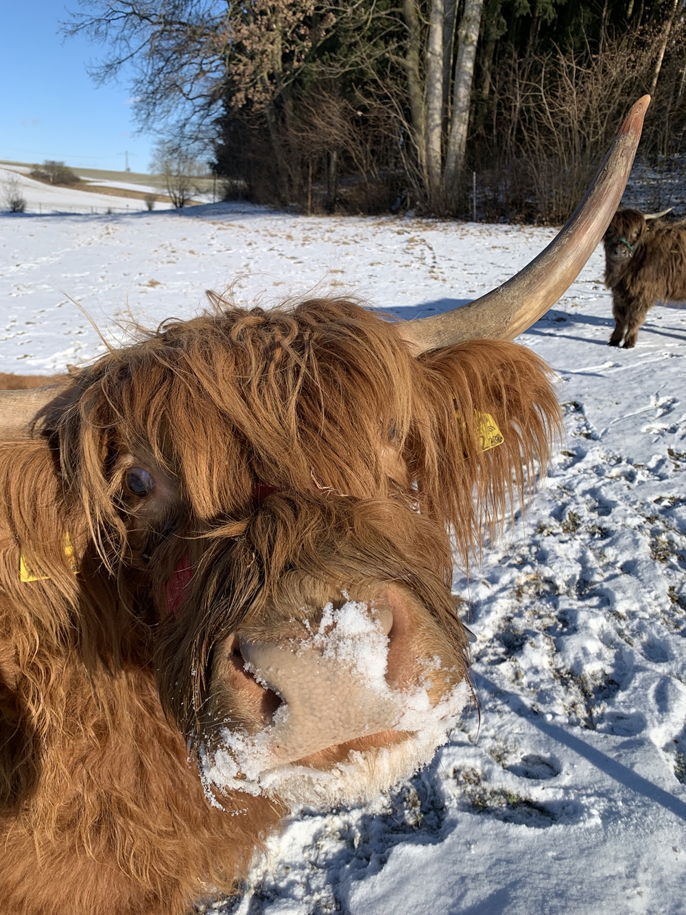 Gattermaier OG - Fahrzeugteile und Servicestation