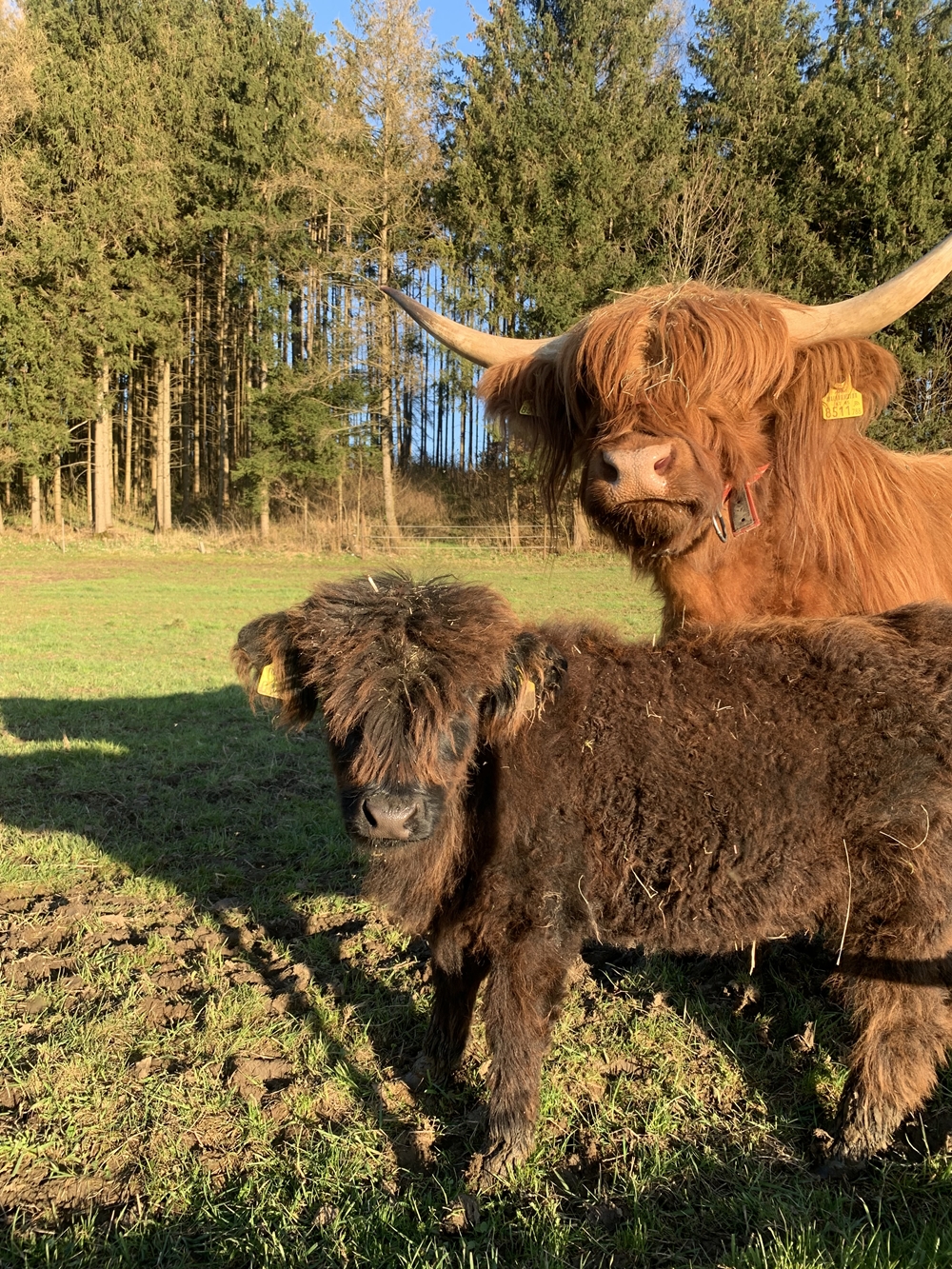 Gattermaier OG - Fahrzeugteile und Servicestation