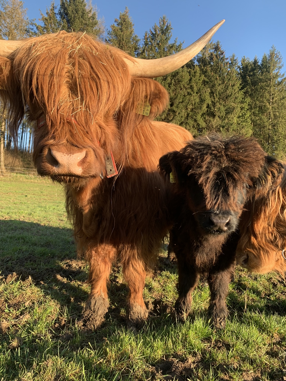 Gattermaier OG - Fahrzeugteile und Servicestation