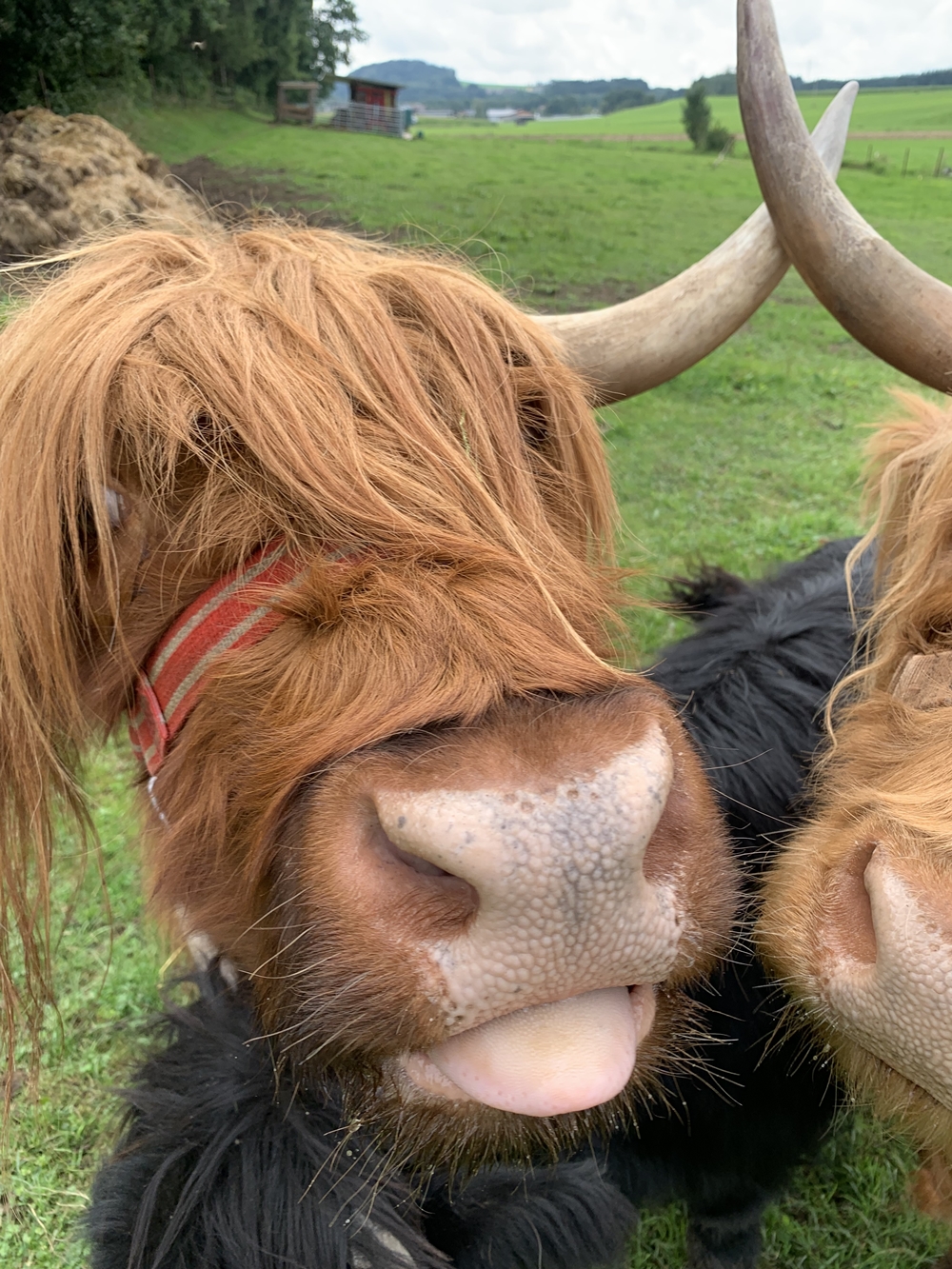 Gattermaier OG - Fahrzeugteile und Servicestation