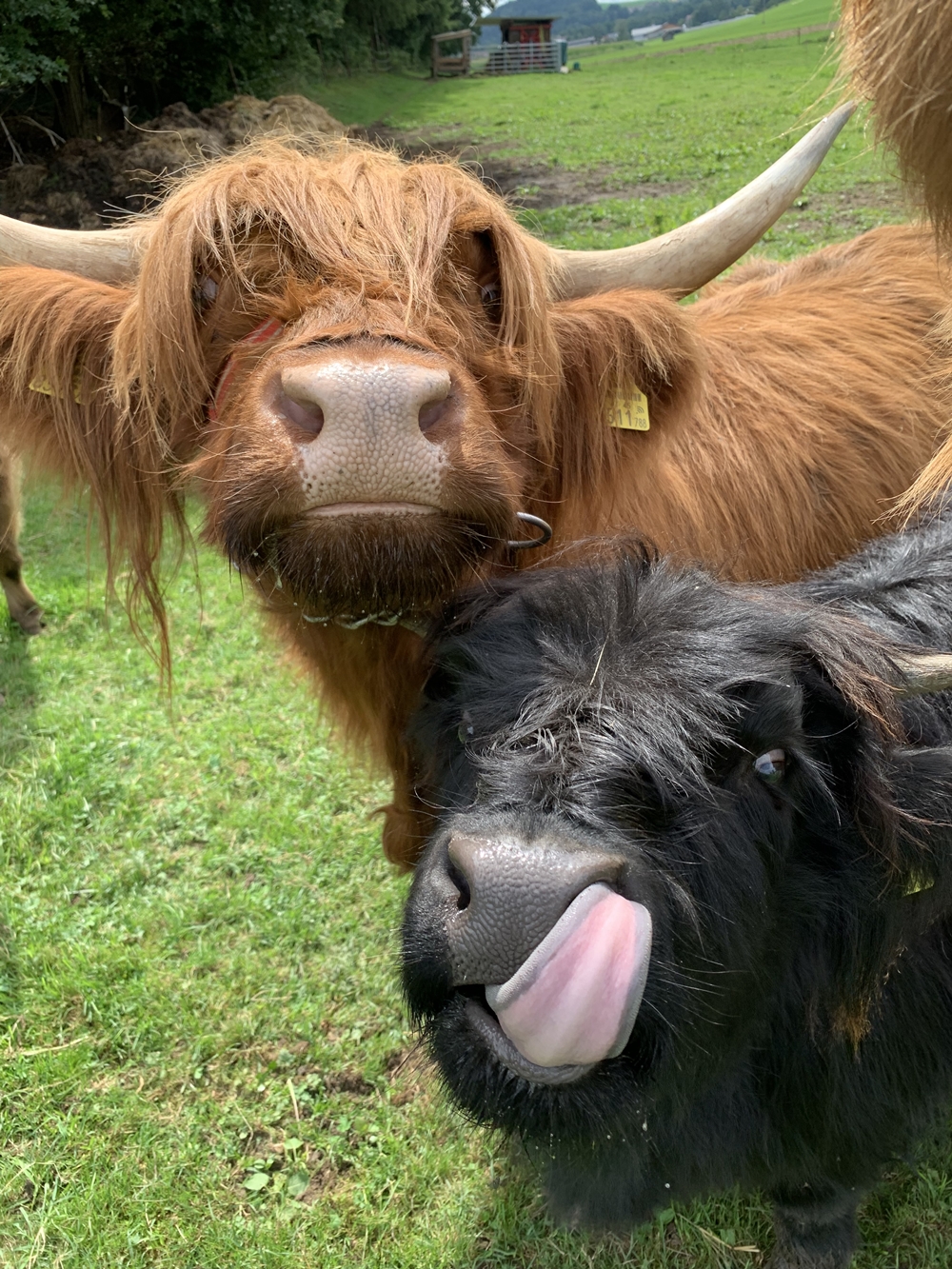 Gattermaier OG - Fahrzeugteile und Servicestation