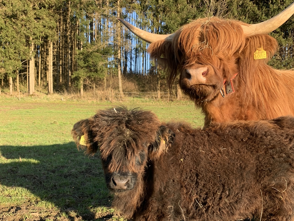 Gattermaier OG - Fahrzeugteile und Servicestation